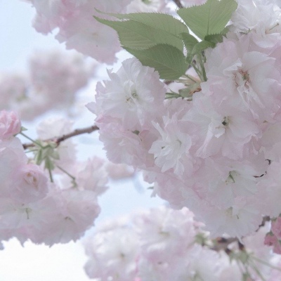 洮南FurryQQ群介绍